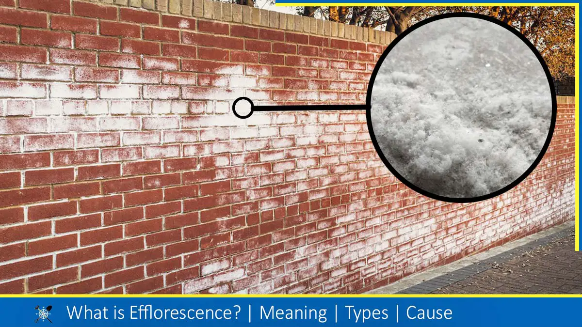 Read more about the article What is Efflorescence?: Types | Cause | How To Remove