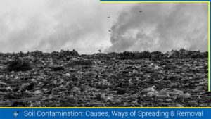 Read more about the article Soil Contamination: Causes, Ways of Spreading & Removal