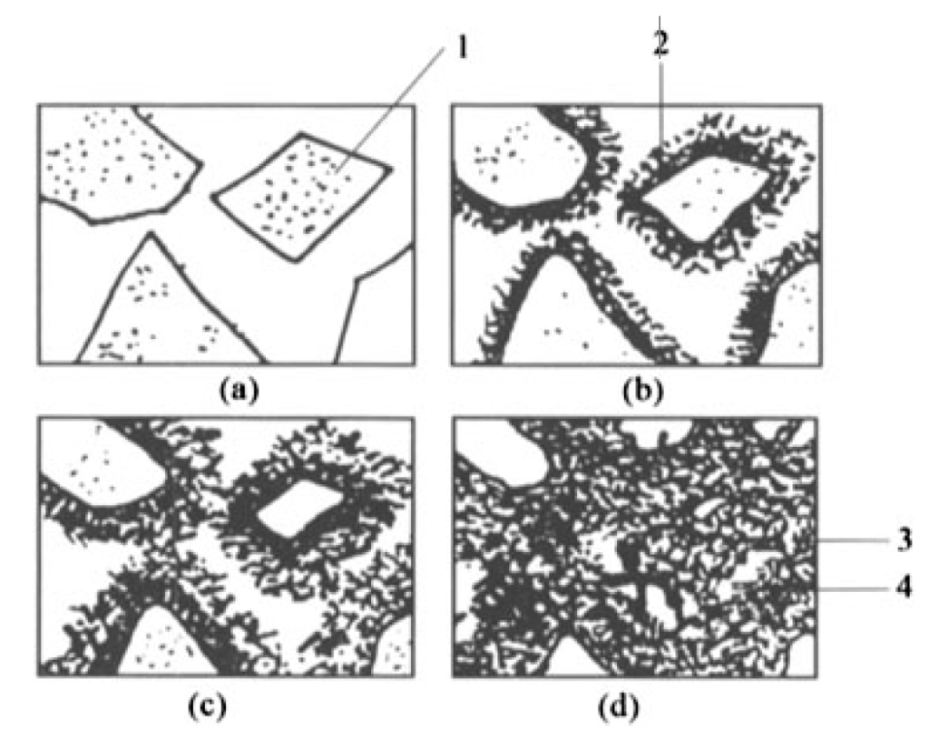 Hardening of Portland Cement