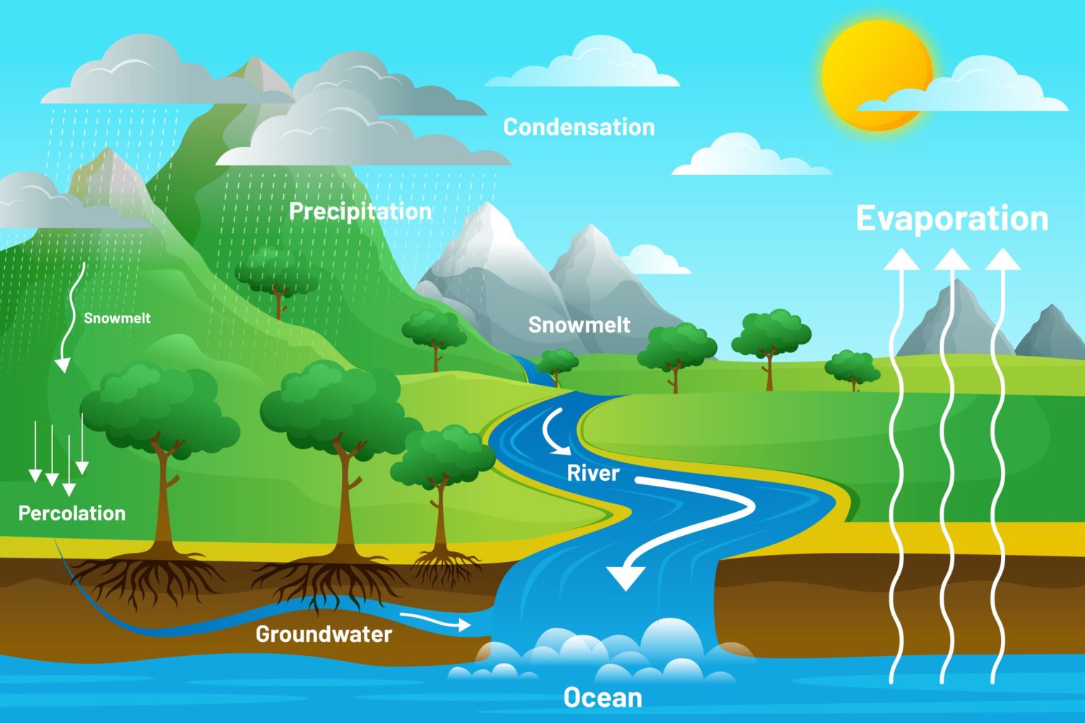 The Hydrologic Cycle: For Maintaining a Balanced and Sustainable Water ...