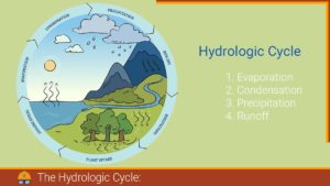 Read more about the article The Hydrologic Cycle: For Maintaining a Balanced and Sustainable Water Supply