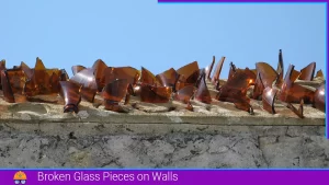 Read more about the article Broken Glass Pieces on Walls: A Traditional Yet Controversial Security Measure